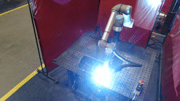 Gif Test (1) Gif Test (1)